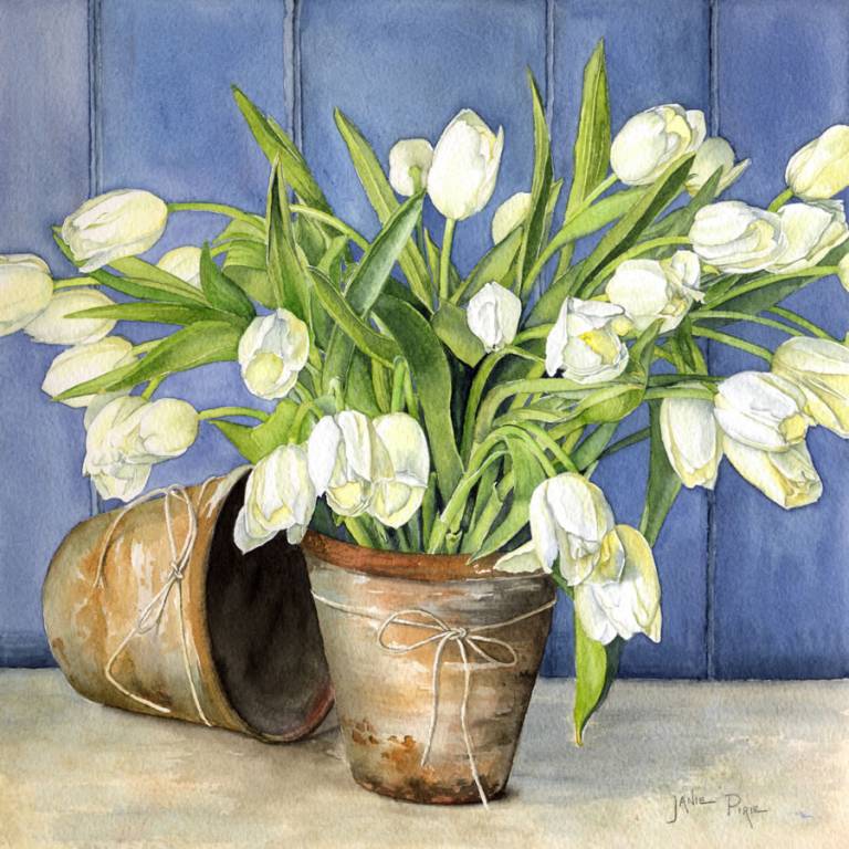 White Tulips In Flower Pots - Janie Pirie