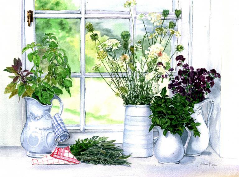 Herbs in White Jugs - Janie Pirie