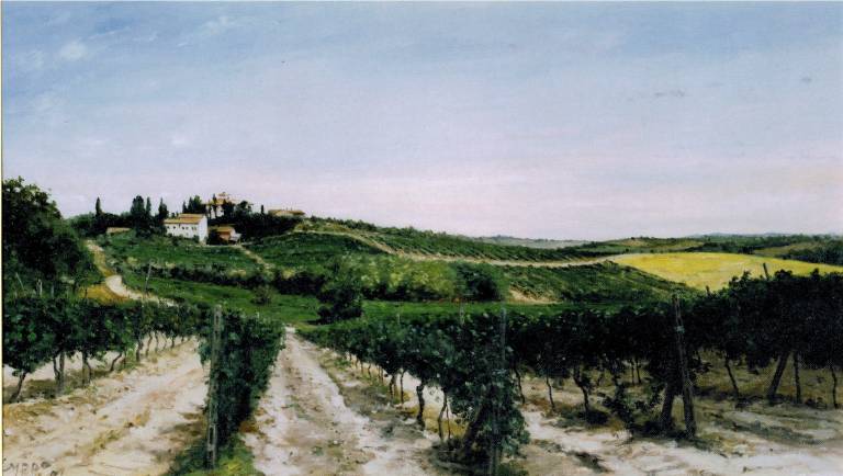 Vines near Ulignano. Toscana. SOLD - Cyppo  Streatfeild