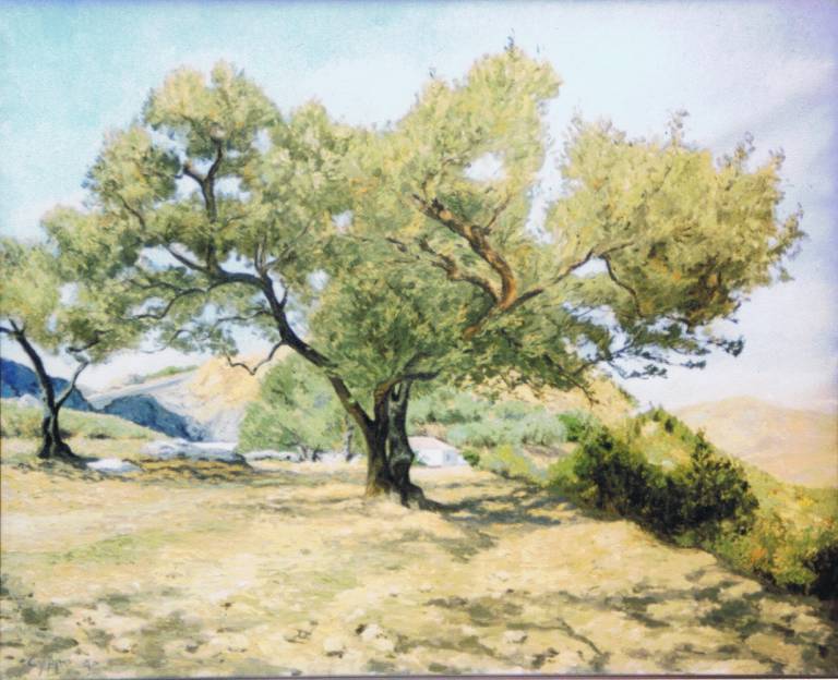 The Olive Tree. SOLD - Cyppo  Streatfeild