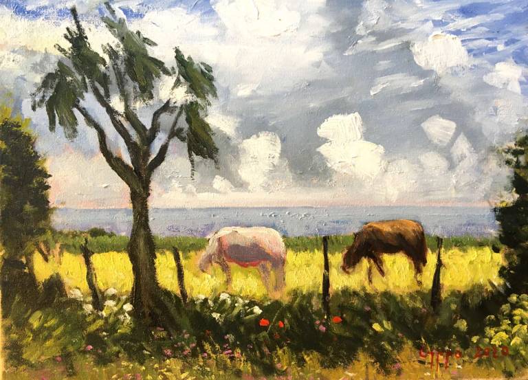 Horses. Yellow Field - Cyppo  Streatfeild