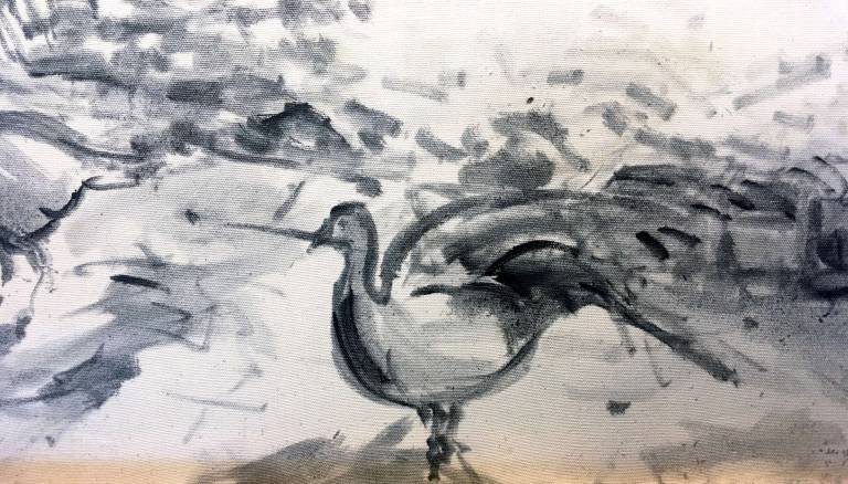 Drawing. Study Peacock. SOLD - Cyppo  Streatfeild