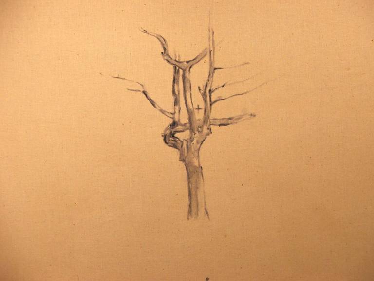 Drawing. Tree Study. SOLD - Cyppo  Streatfeild