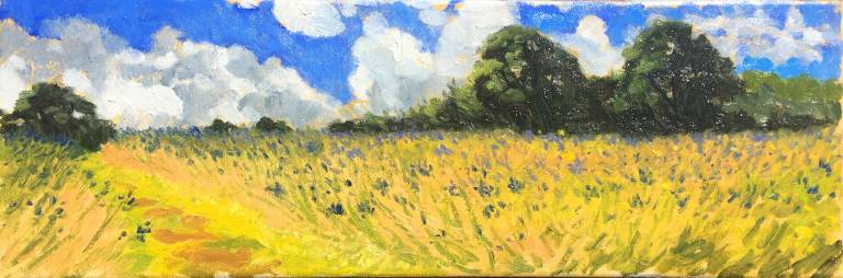 Golden Field With Agapanthus - Cyppo  Streatfeild