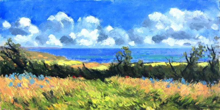 Along The Coast Path - Cyppo  Streatfeild