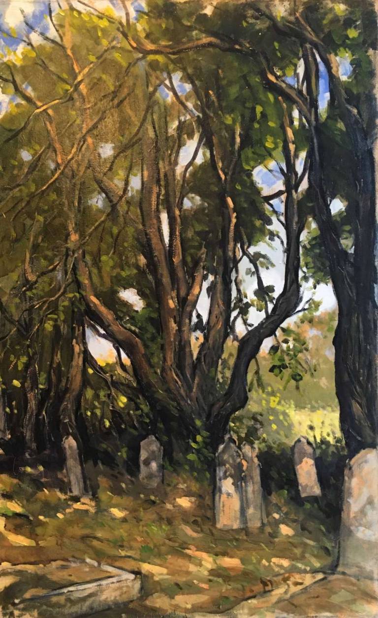 Trees In Golden Yellow Sun. Ludgvan Churchyard - Cyppo  Streatfeild