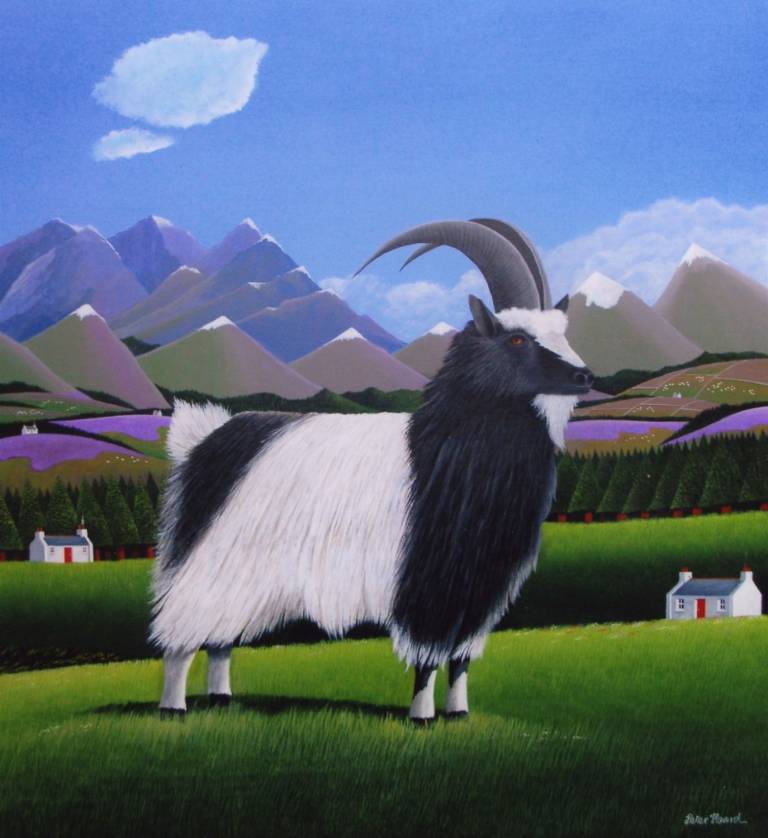 Bagot Goat - Peter Heard