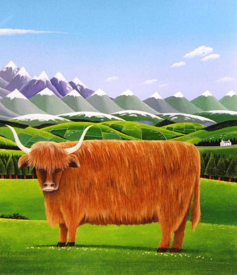 Highland Steer - Peter Heard