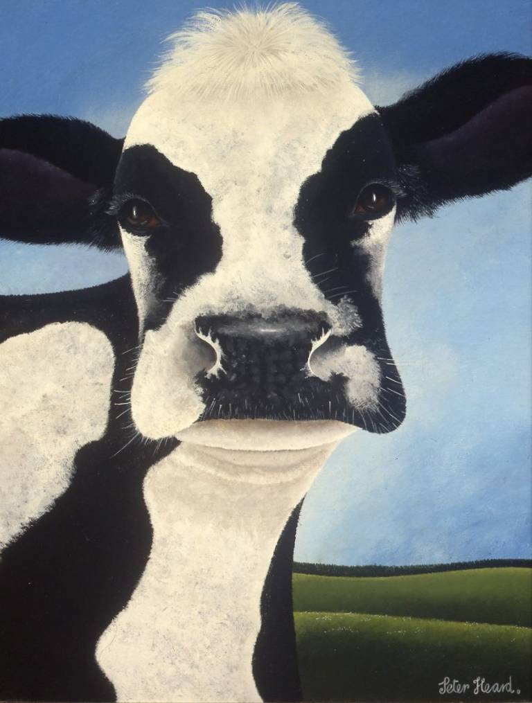 Sarahs Cow - Peter Heard