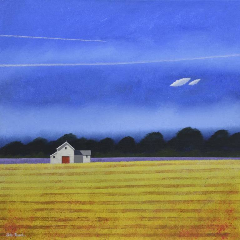 Barn  - Peter Heard