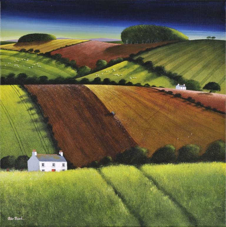 Ploughing The Setaside Field - Peter Heard