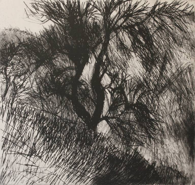 The Tree - Dave Pearson