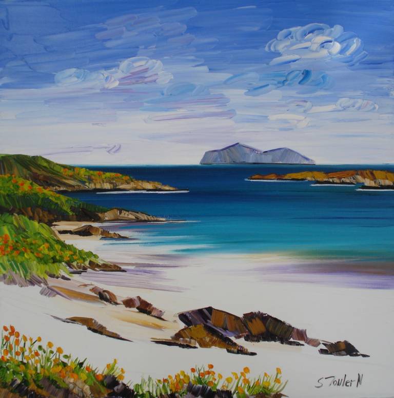 Wildflowers Iona  (40 x 40cm) SOLD - Sheila Fowler