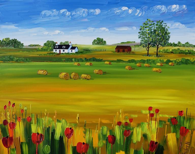 Harvest and and Poppies (60 x 50cm) - Sheila Fowler