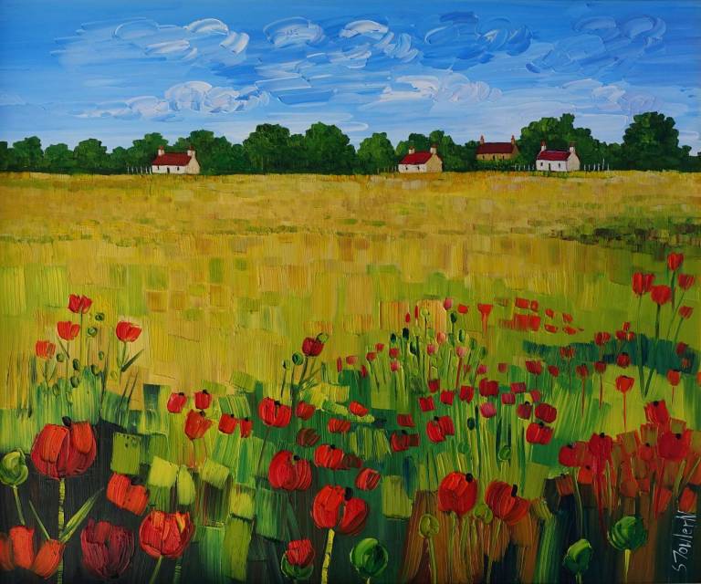 Summer Field with Bright Poppies  SOLD and Heather Wildflowers and Silver Birch  - Sheila Fowler