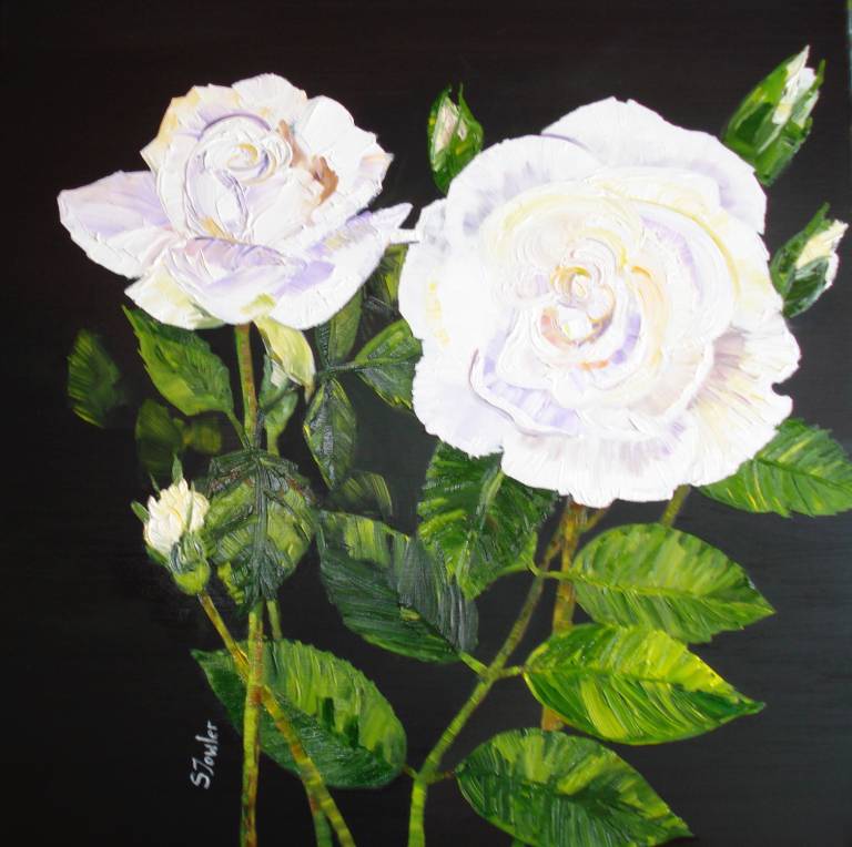 White Roses (60 x 60cm) SOLD - Sheila Fowler
