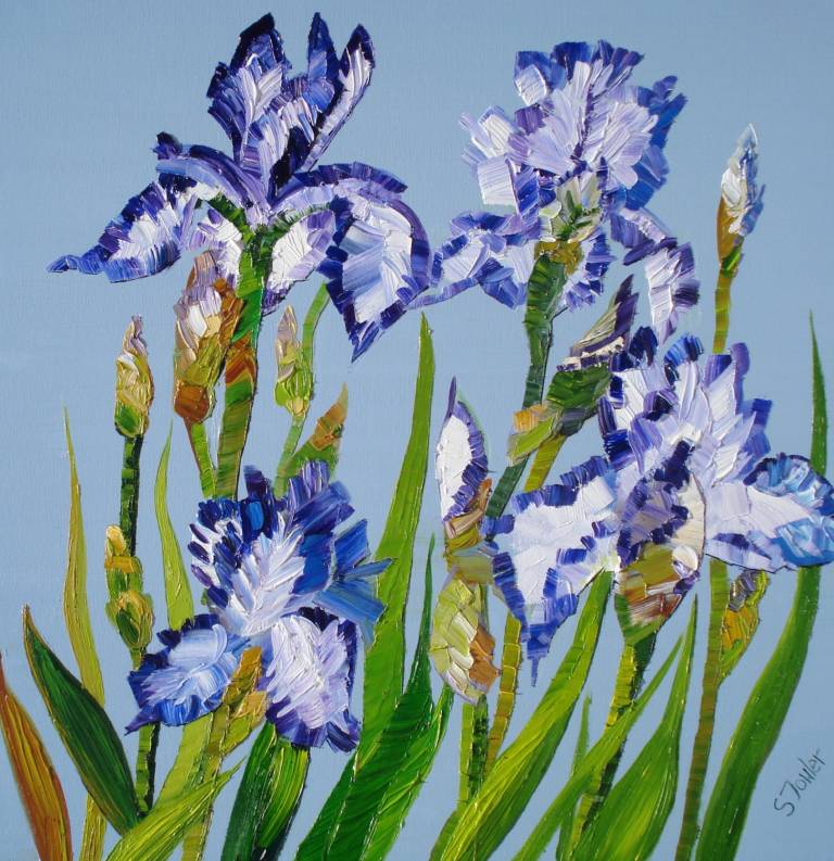 Blue Irises (30 X 30cm) £65 - Sheila Fowler