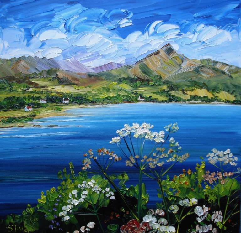 Cow Parsley Brodick Bay Arran 25 X 25cm - Sheila Fowler