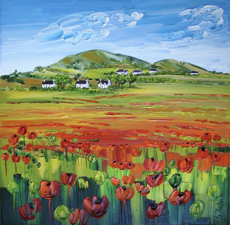 Wild Poppies Lower Largo - Sheila Fowler