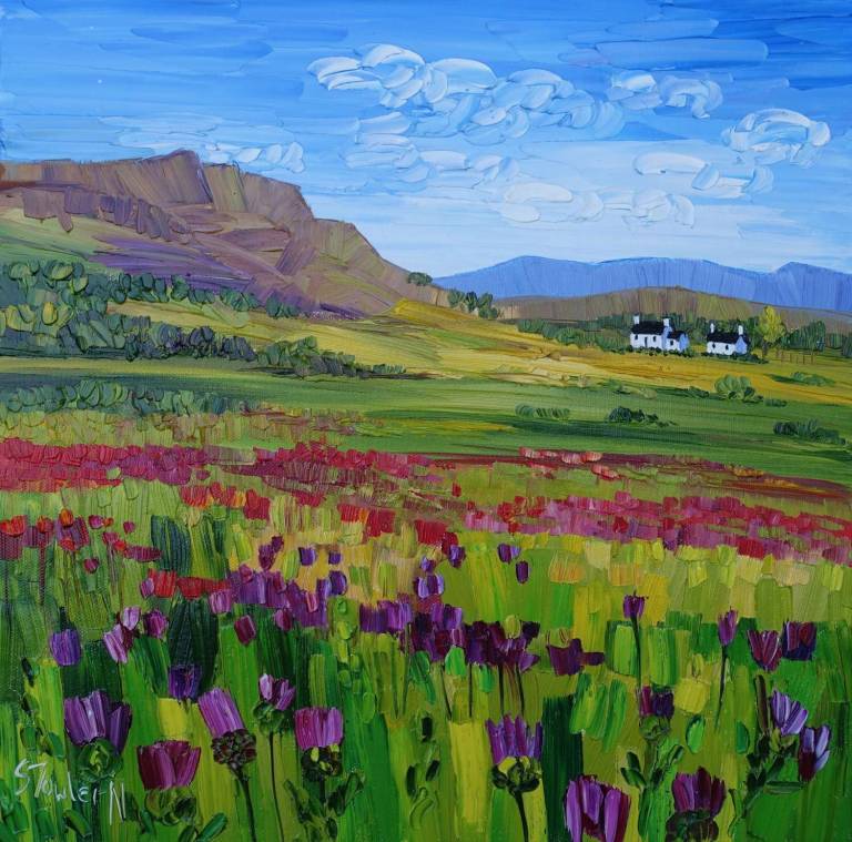 Wildflowers Perthshire (40 x 40cm) SOLD - Sheila Fowler