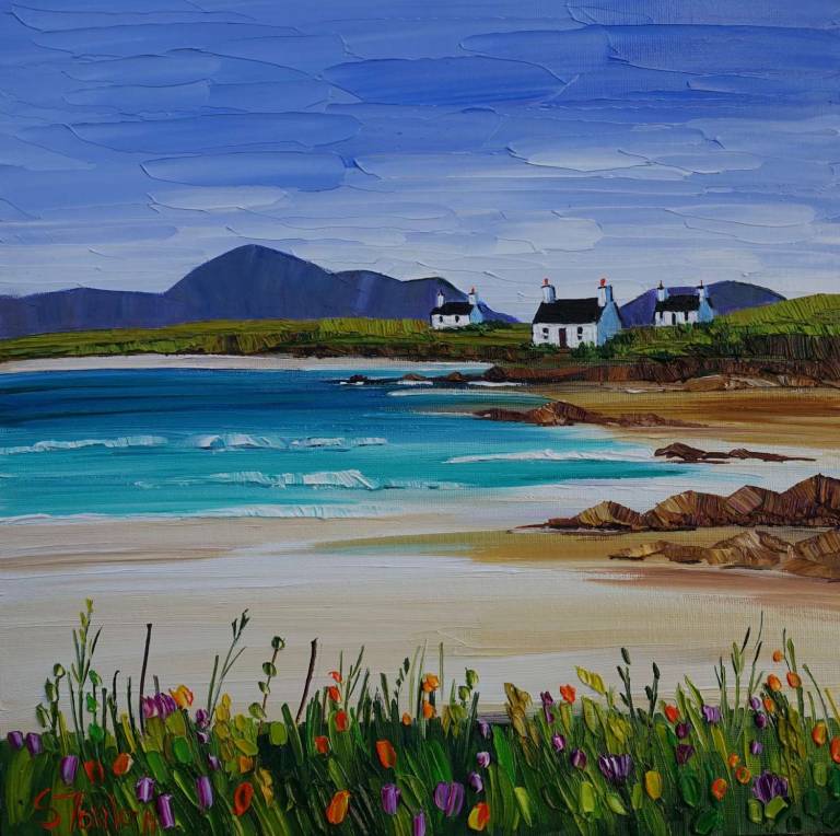 Summer Machair and Cottages Harris SOLD - Sheila Fowler