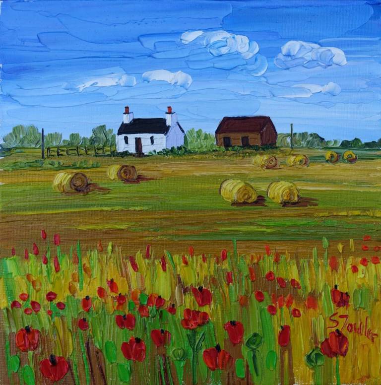 Harvest and Corn Poppies  SOLD - Sheila Fowler