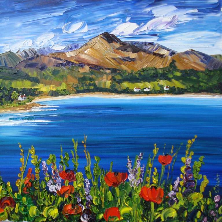 Summer Wildflowers Brodick Bay - Sheila Fowler