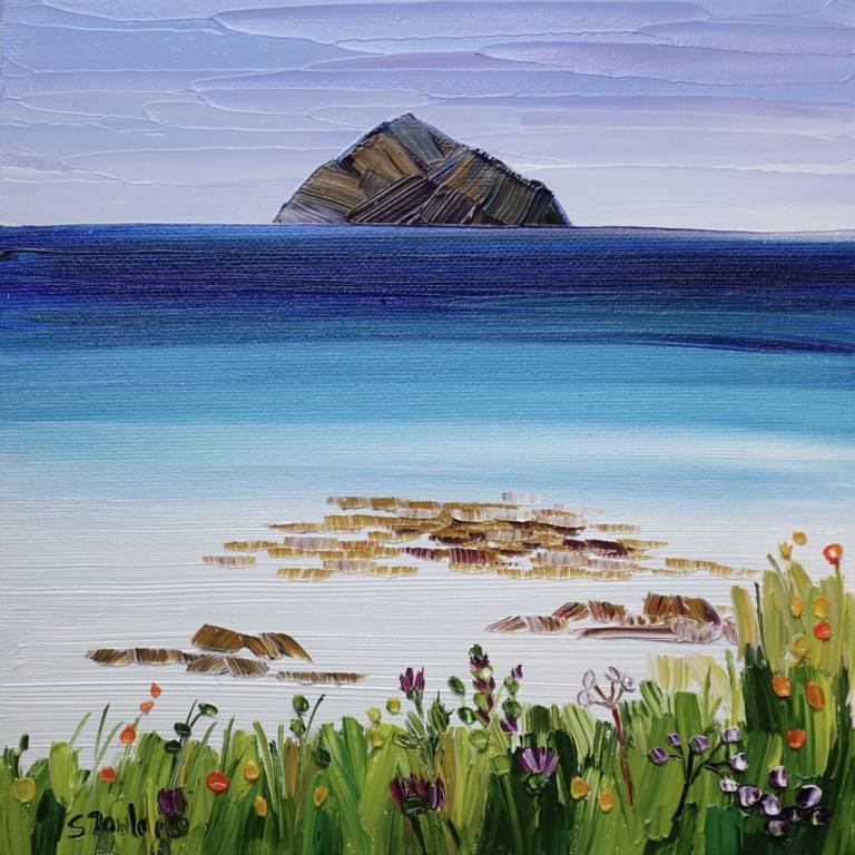 Ailsa Craig and Arran Wildflowers  (20 x 20cm) - Sheila Fowler