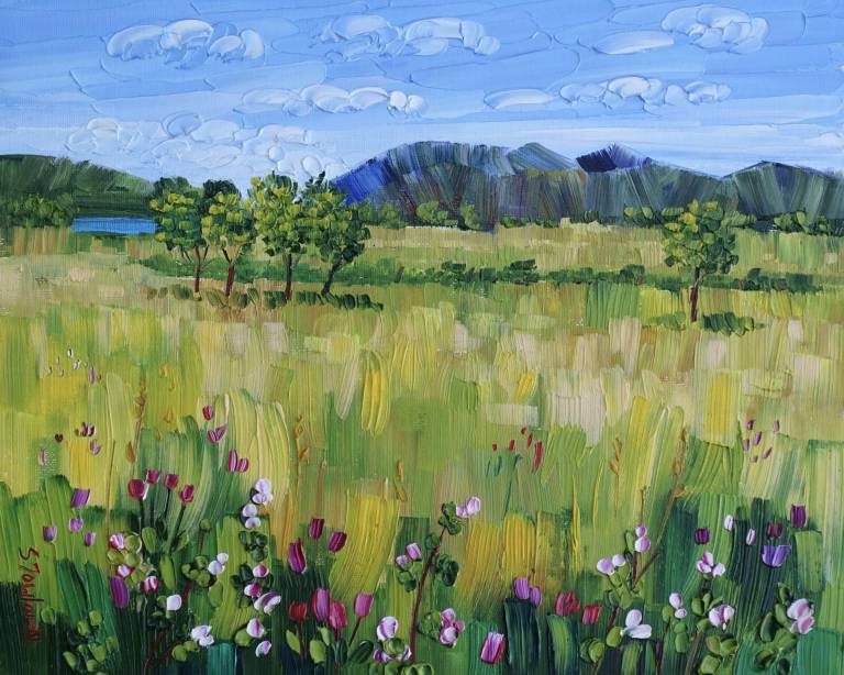Lakeland Wildflowers SOLD - Sheila Fowler