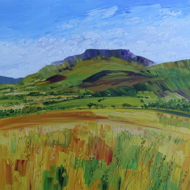 Summer Field Blencathra £45 - Sheila Fowler