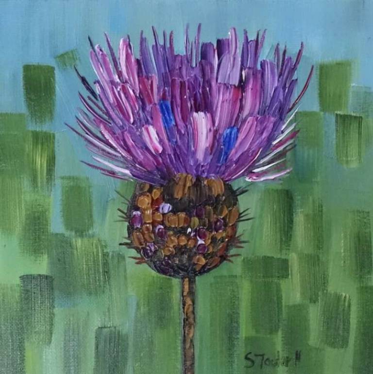 Late Night Thistle - Sheila Fowler