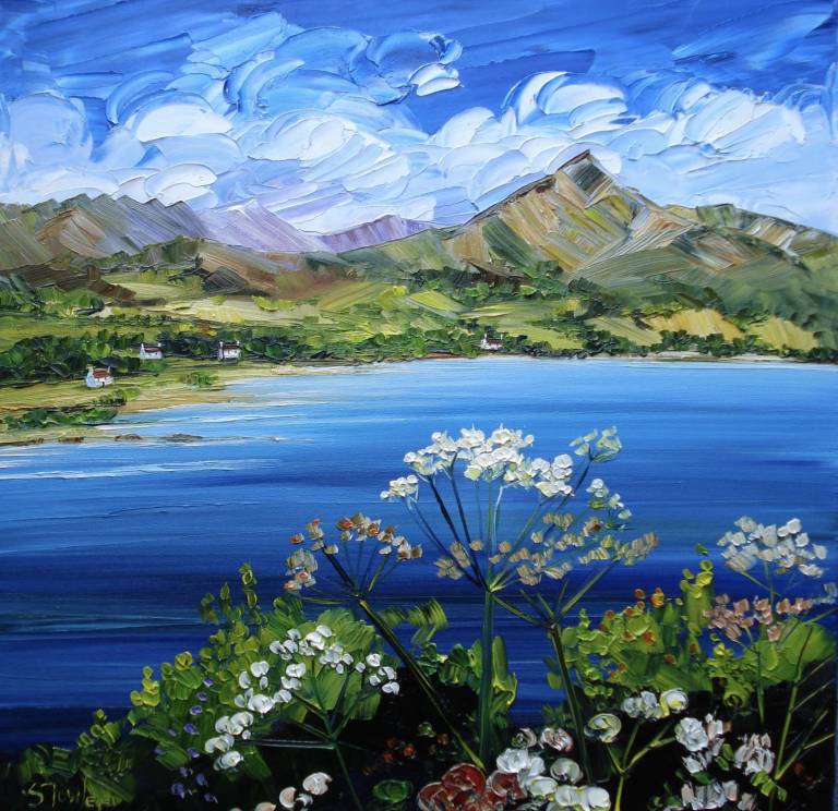 Cow Parsley Brodick Bay Arran 30 x 30cm) - Sheila Fowler