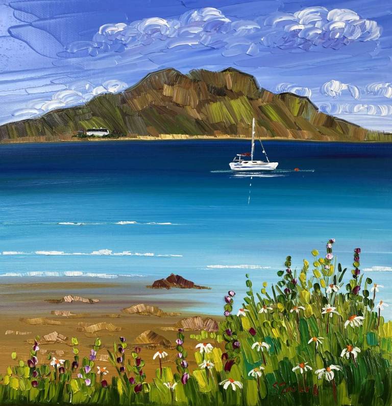 Daisies and Boat at The Holy Isle SOLD - Sheila Fowler