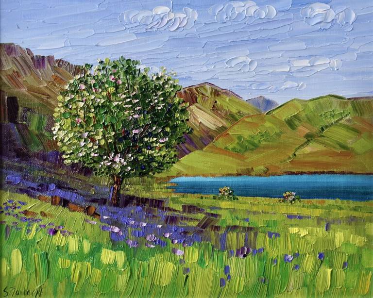 Spring Colours Rannerdale - Sheila Fowler