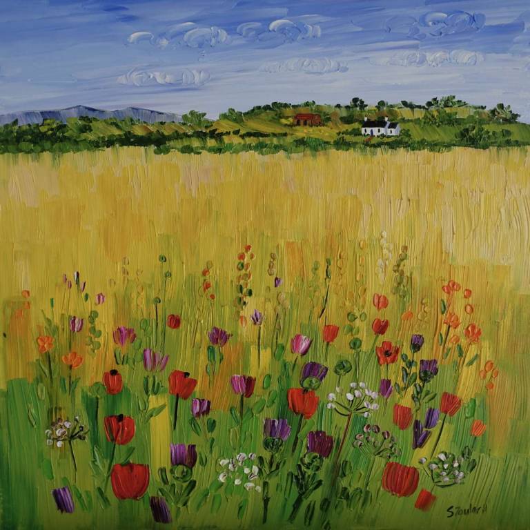 Summer Field Perthshire SOLD - Sheila Fowler