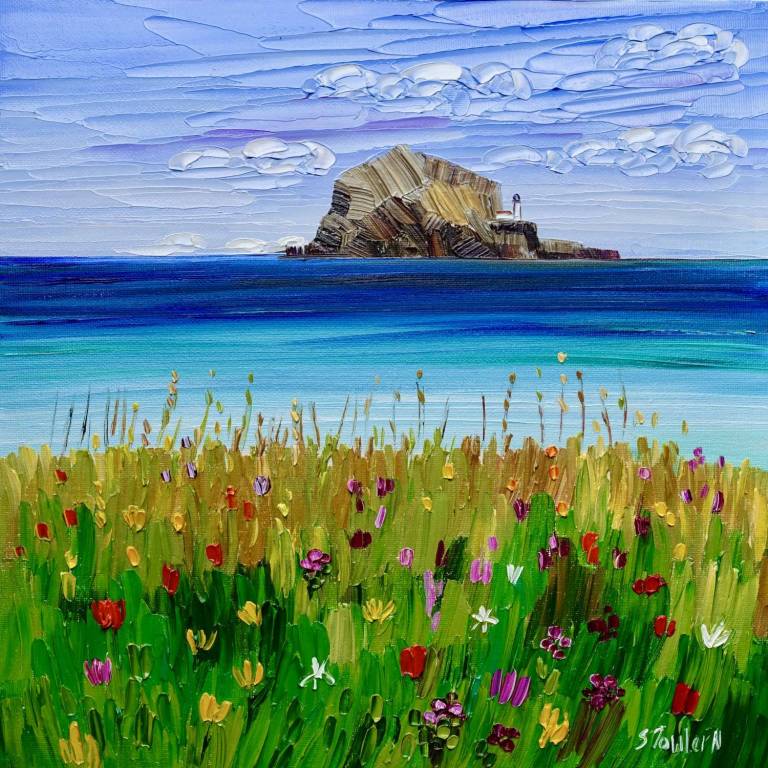 Wildflowers at Bass Rock - Sheila Fowler