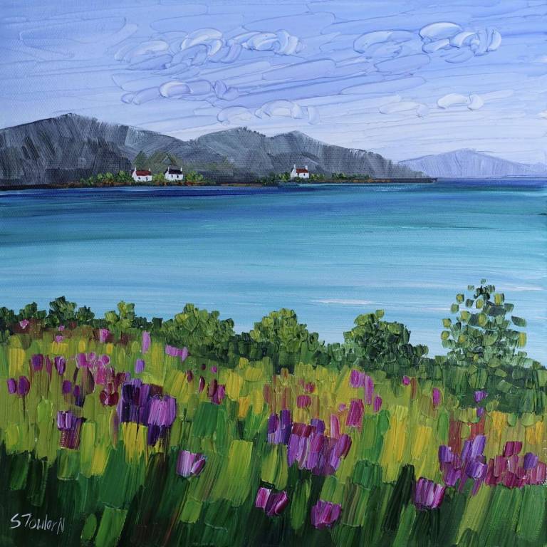 Distant Crofts and Wildflowers Skye - Sheila Fowler