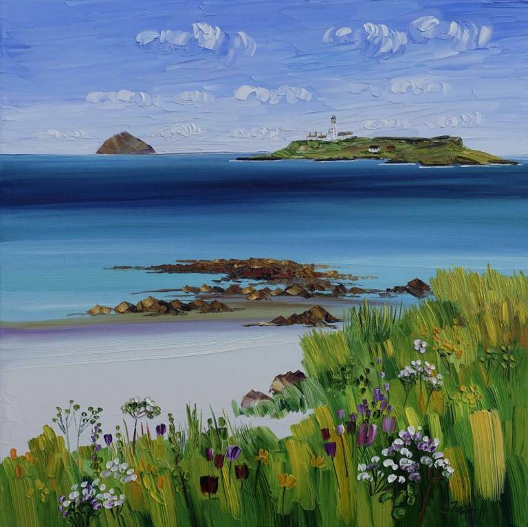 Ailsa Craig Pladda and Kildonan Beach - Sheila Fowler