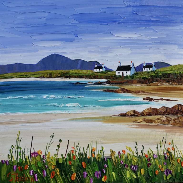 Summer Machair and Cottages Harris £45 - Sheila Fowler