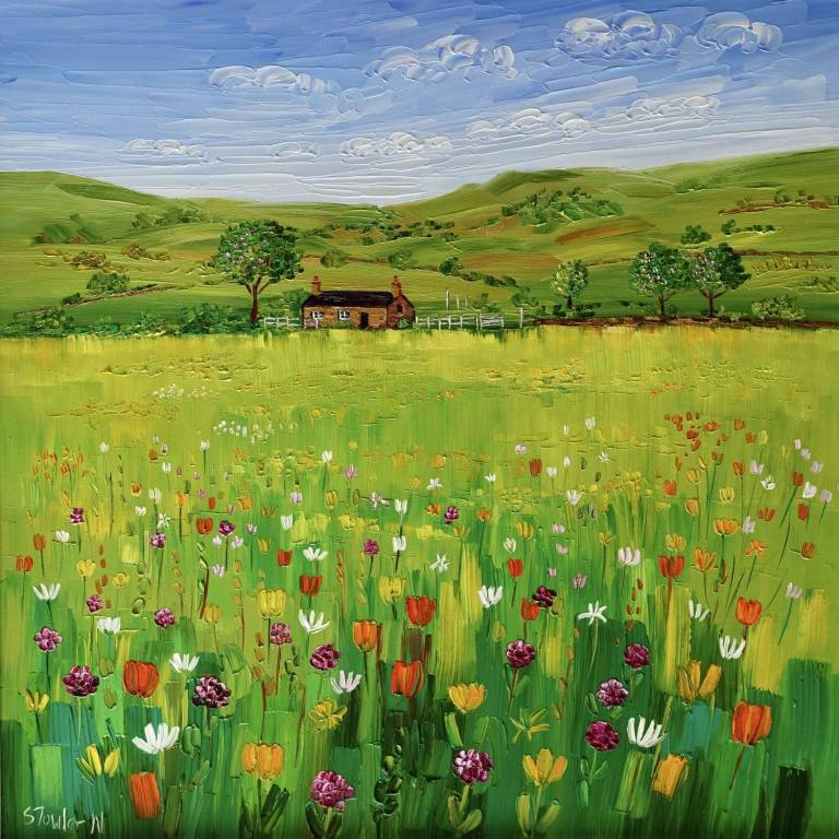 Wildflower Meadow Borrowdale plus art print SOLD - Sheila Fowler