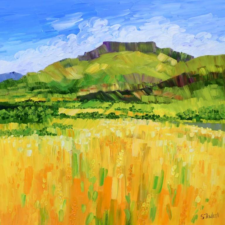 Summer Fields Blencathra - Sheila Fowler