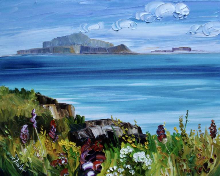 Wildflowers at Treshnish Mull (ART PRINT OF MULL - click for detail) - Sheila Fowler