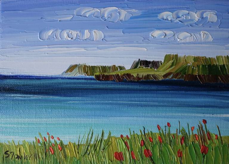 Wildflowers Calgary Bay, Mull SOLD - Sheila Fowler