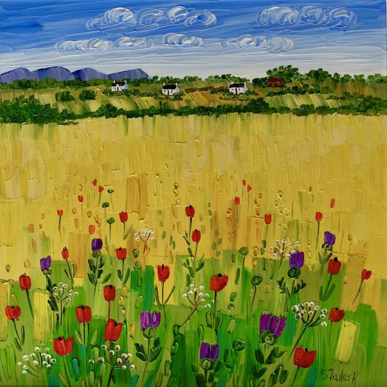Cottage and Summer Field SOLD - Sheila Fowler