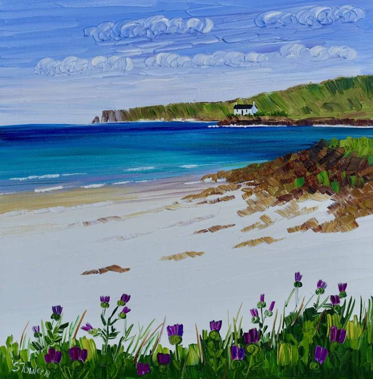 Wild Thistles Aikerness Beach Orkney SOLD - Sheila Fowler