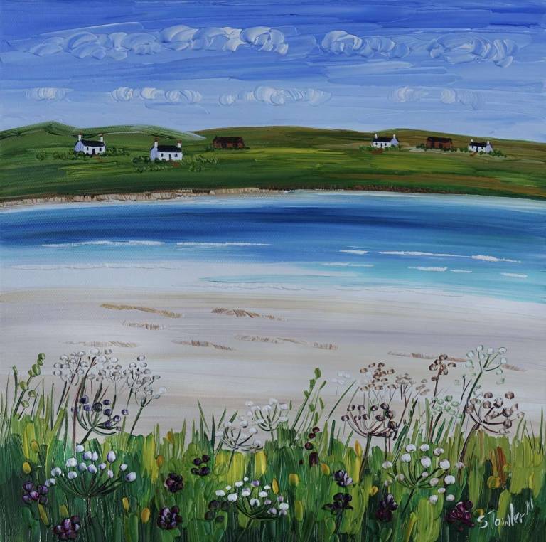 Beach Grasses Sands of Evie, Orkney - Sheila Fowler