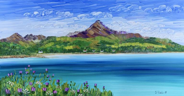 Thistles Brodick Bay Arran - framed size 75 x 45cm SOLD - Sheila Fowler