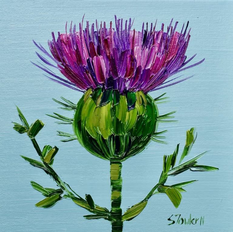 Pretty Little Thistle  (25 x 25cm) - Sheila Fowler