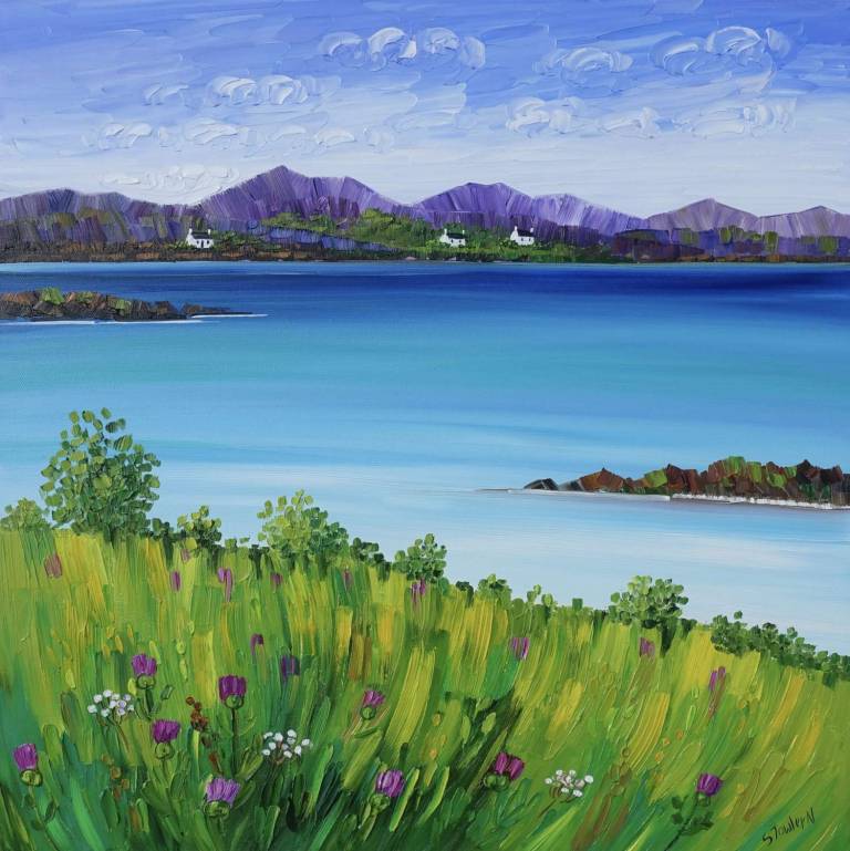 Wildflowers Isle of Skye - Sheila Fowler