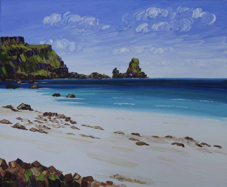 Talisker Bay, Isle of Skye - Sheila Fowler